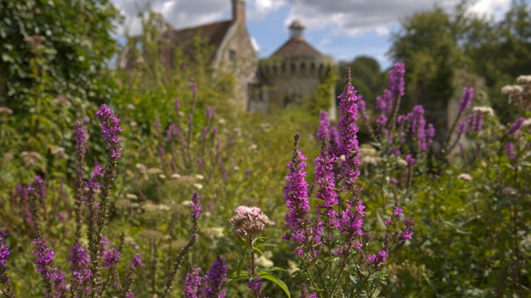Summer scene at Scotney Castle, Kent